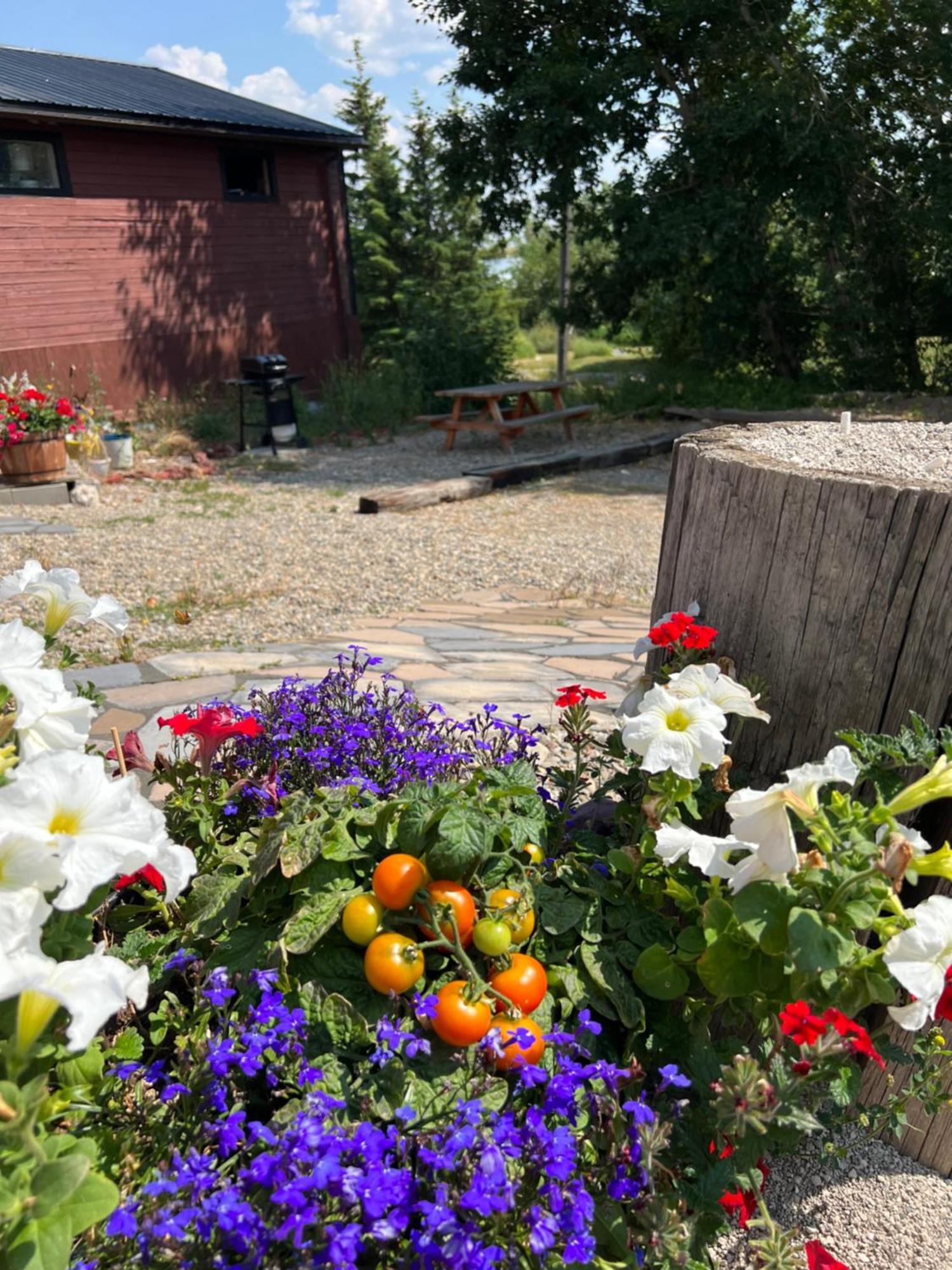 Bear Country Inn And Suites Mountain View Екстер'єр фото